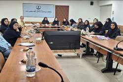 برگزاری کارگاه نحوه تدوین خلاصه سیاستی ویژه اعضای هیات علمی دانشکده پرستاری و مامایی شهید بهشتی رشت