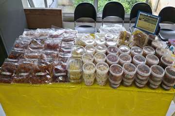 نمایشگاه صنایع دستی