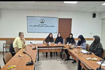 کارگاه نحوه تدوین خلاصه سیاستی