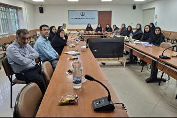 کارگاه نحوه تدوین خلاصه سیاستی