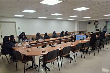 کارگاه نحوه تدوین خلاصه سیاستی