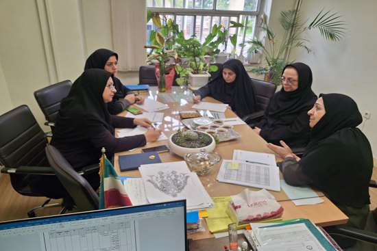 کمیته پیشرفت تحصیلی 